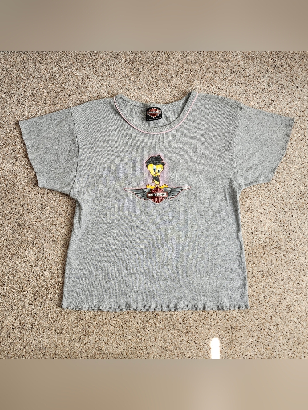 Harley Davidson Tweety Bird Vintage Looney Tunes